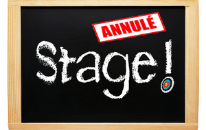 Stage ARC A POULIES organisé par le CD Arc 01 annulé